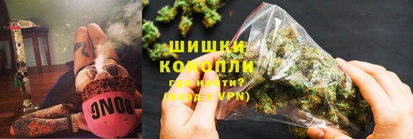 молекула духа Бикин
