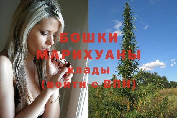 молекула духа Бикин