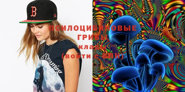 мет Медвежьегорск