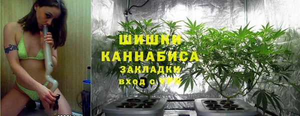 молекула духа Бикин