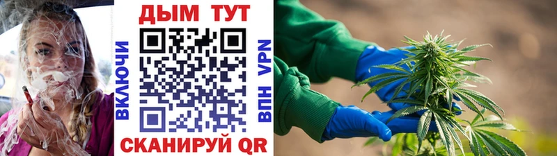 МАРИХУАНА ГИДРОПОН  Ялта 